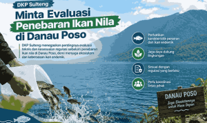 Minta Evaluasi Penebaran Ikan Nila di Danau Poso_11zon